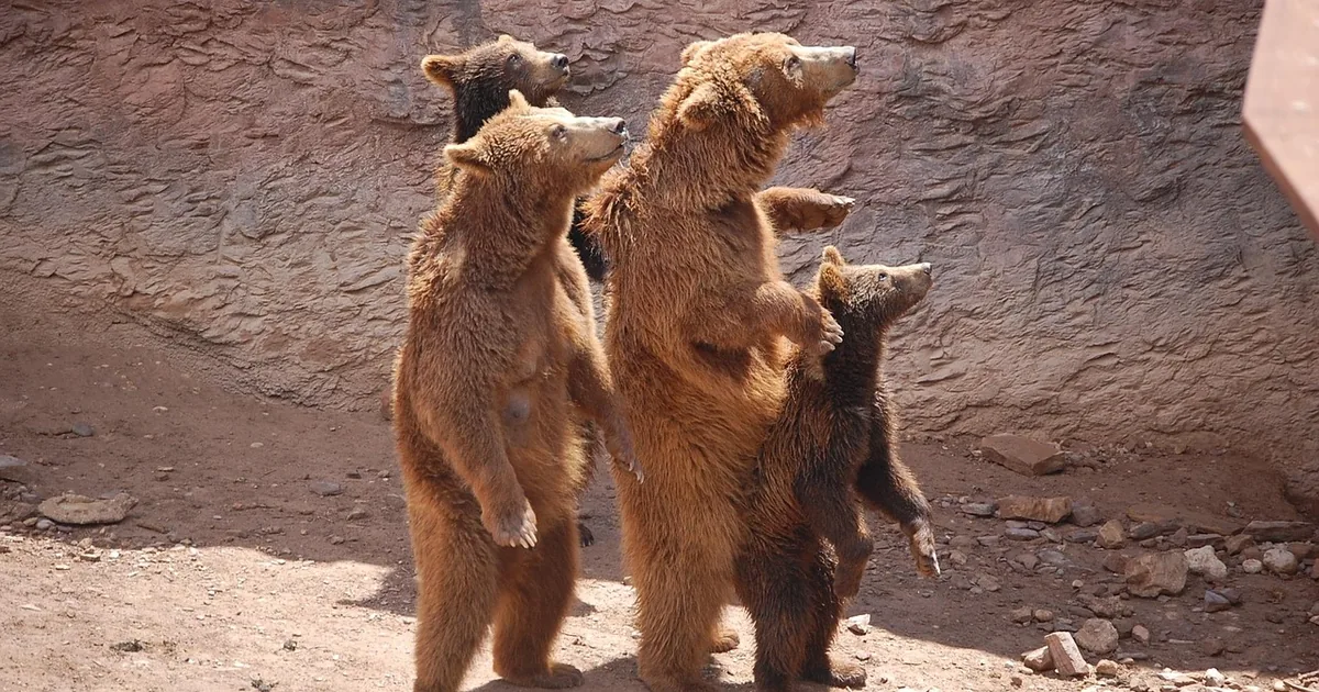 The Smartest Way to Visit Dallas Zoo: Tips & 2026 Discounts