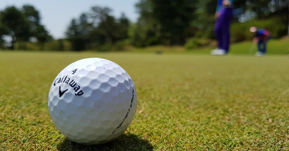 Fairway et Greene en ont-ils besoin ? Revue de magasinage honnête + 2026 Codes
