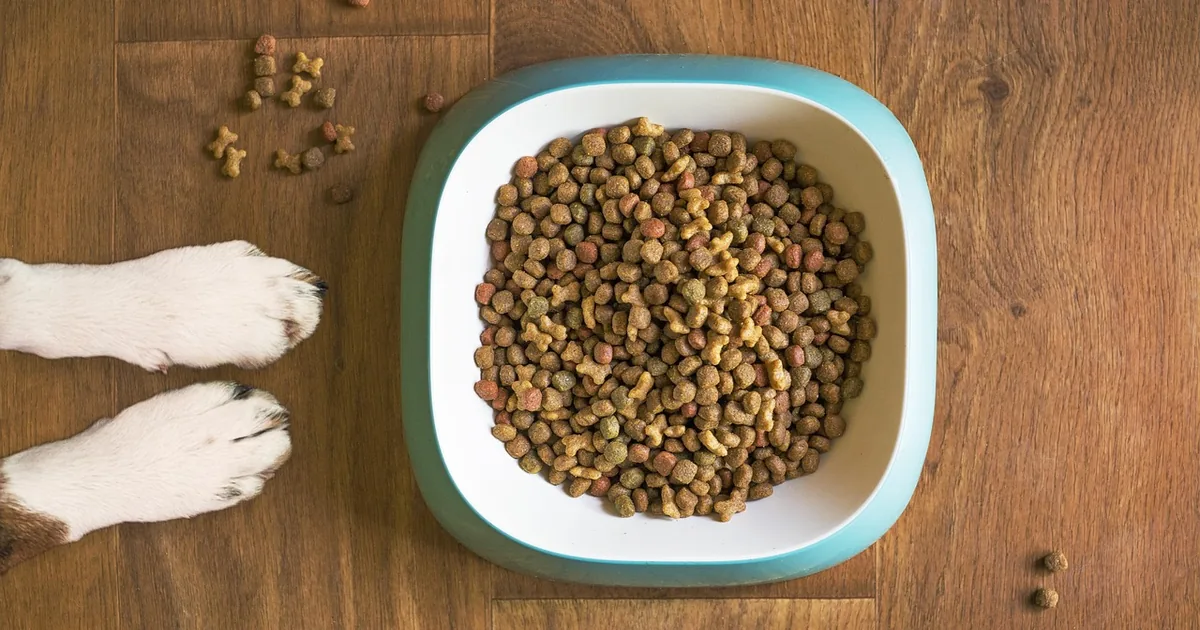 How to Get the Best Deal at Open Farm Pet: A Complete Pet Supplies Guide