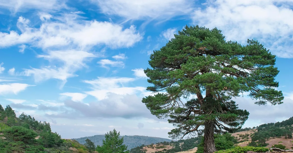Patagonia: Worn Wear, Repairs and Why It Barely Discounts
