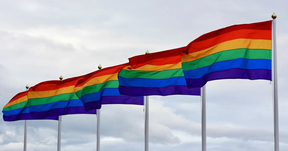 What to Know Before Shopping Queer in the World Shop (2026)